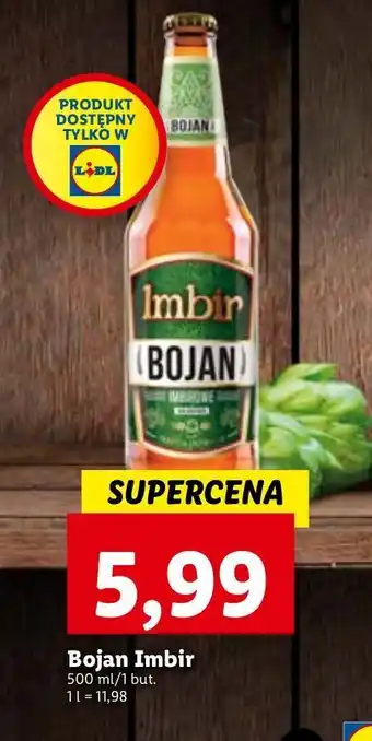 Lidl Piwo bojan imbir oferta