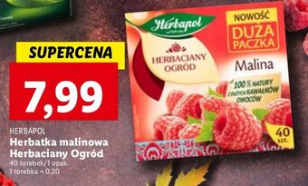Lidl Herbata malina herbapol herbaciany ogród oferta