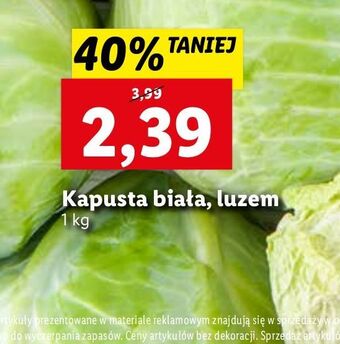 Kapusta biała