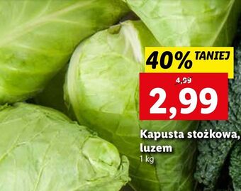 Lidl Kapusta stożkowa oferta