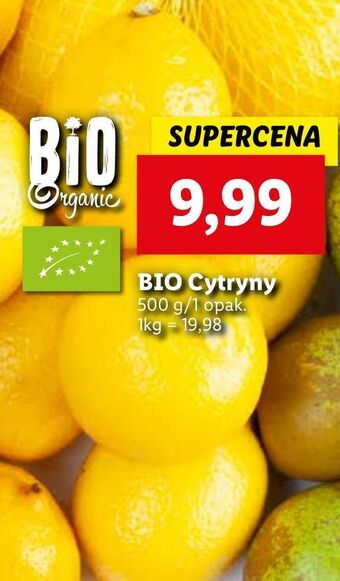Lidl Cytryny bio organic oferta