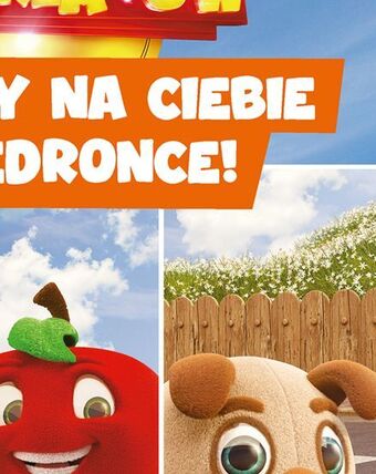 Biedronka Lilia 50 cm oferta