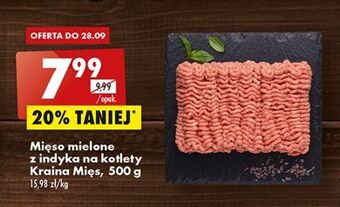 Biedronka Mięso mielone z indyka kraina mięs oferta