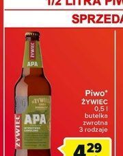 Globi Piwo żywiec apa oferta