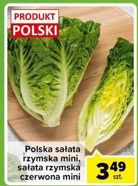 Carrefour Express Sałata rzymska mini oferta