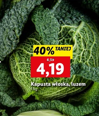 Lidl Kapusta oferta