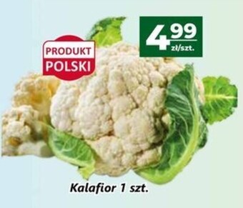 Społem Kalafior oferta