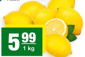 EuroSPAR Cytryna oferta