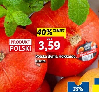 Lidl Dynia oferta