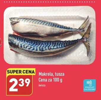ALDI Makrela tusza oferta