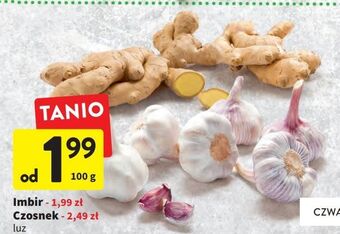 Intermarche Imbir oferta