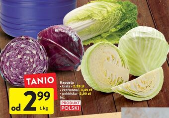 Intermarche Kapusta biała oferta