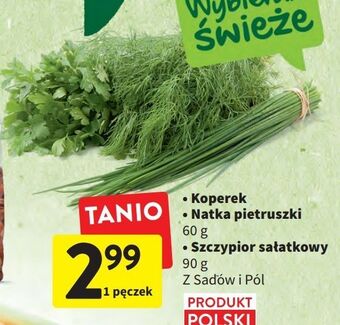 Intermarche Szczypiorek z sadów i pól oferta