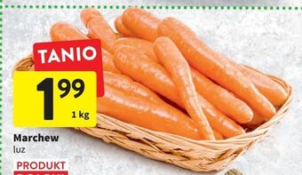 Intermarche Marchewka oferta