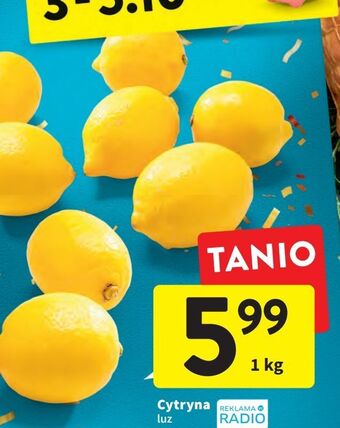Intermarche Cytryny oferta