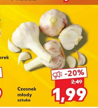 Kaufland Czosnek młody oferta