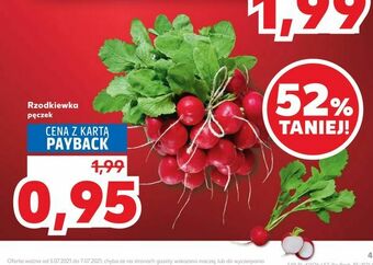 Kaufland Rzodkiewka oferta