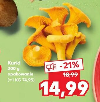 Kurki