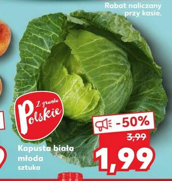 Kaufland Kapusta biała młoda oferta