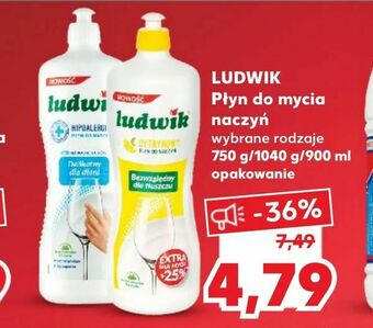 Kaufland LUDWIK Płyn do mycia naczyń oferta