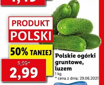 Lidl Polskie ogórki gruntowe, luzem oferta