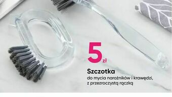 Pepco Szczotka oferta