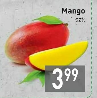 Stokrotka Mango oferta