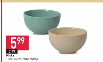 Stokrotka Miska oferta