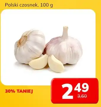 Lidl Polski czosnek 100 g oferta