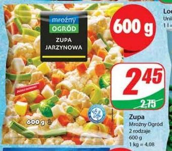 Dino Zupa jarzynowa mroźny ogród oferta