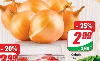 Dino Cebula oferta