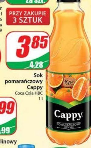 Dino Sok pomarańczowy cappy oferta