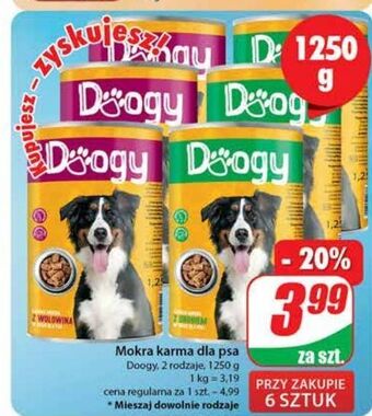 Karma dla psa z wołowiną doogy