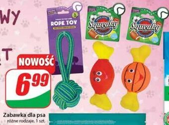 Dino Zabawka dla psa oferta