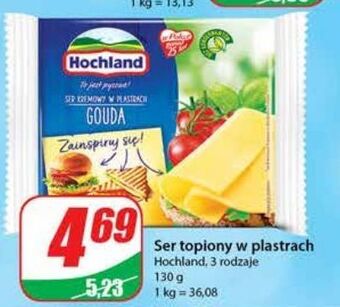 Dino Ser topiony gouda hochland oferta