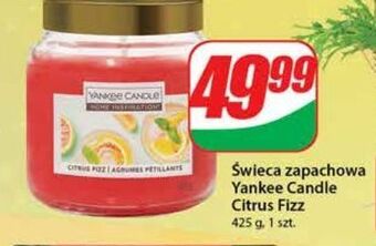 Dino Świeca zapachowa citrus fizz yankee candle oferta