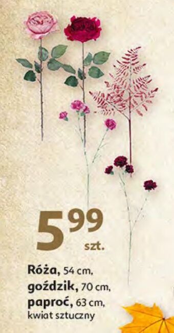 Auchan Róża 54 cm oferta