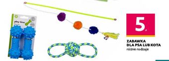 Dealz Zabawka dla kota oferta
