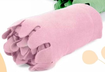 Lidl Koc oferta
