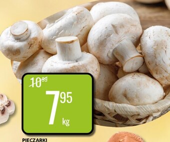 bi1 Pieczarki oferta