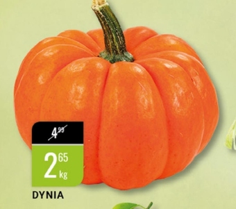 bi1 Dynia oferta