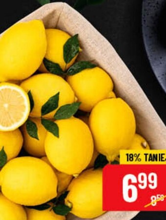 Polomarket Cytryna oferta