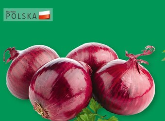 Cebula czerwona