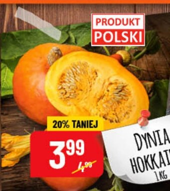 Polomarket Dynia oferta