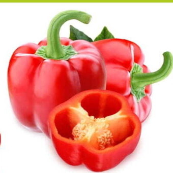 E.Leclerc Papryka oferta