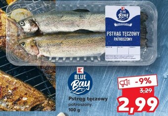 Kaufland Pstrąg tęczowy blue bay oferta