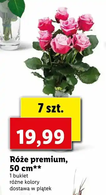 Lidl Róże premium, 50 cm oferta