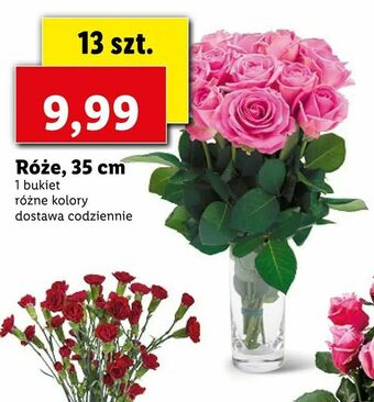 Lidl Róże, 35 cm oferta