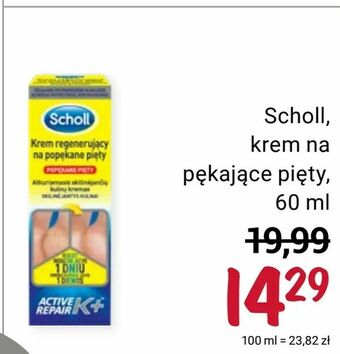 Rossmann Scholl, krem na pękające pięty oferta