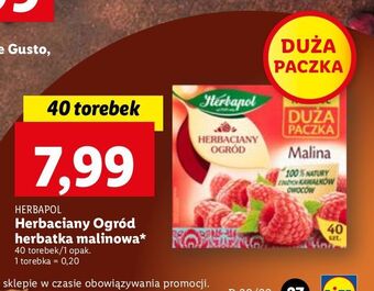 Lidl Herbata malina herbapol herbaciany ogród oferta